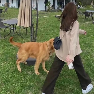 人类不适任的未来